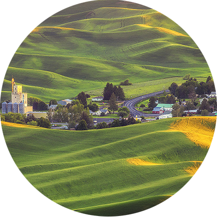 Rural farmland with rolling green hills